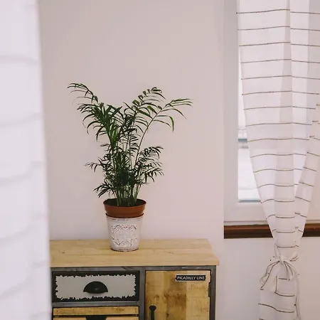 Apartman 5 Minutes Walk Art *